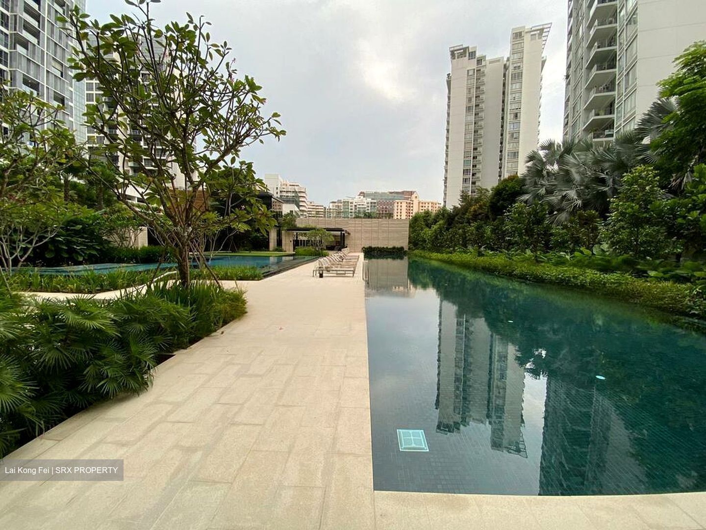 Amber 45 (D15), Apartment #472181541